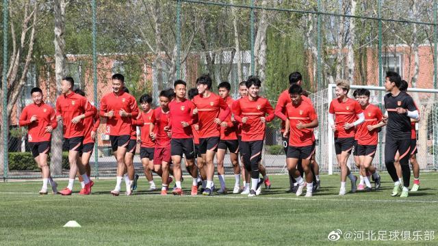 开云在线-郎征：坚信初生牛犊不怕虎 20岁出头该是当打之年